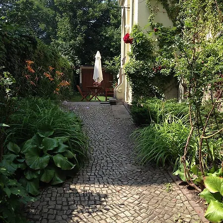 Sommerschuh Drážďany